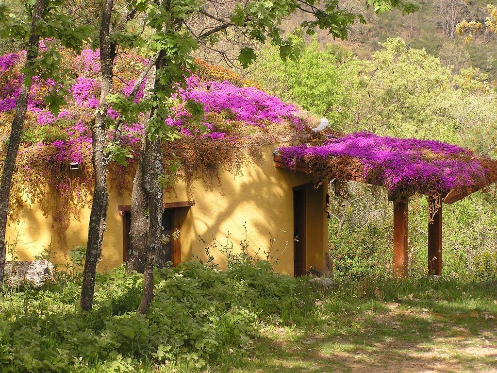 Apartamentos Rurales Ecopangea Valverde de la Vera 객실 사진