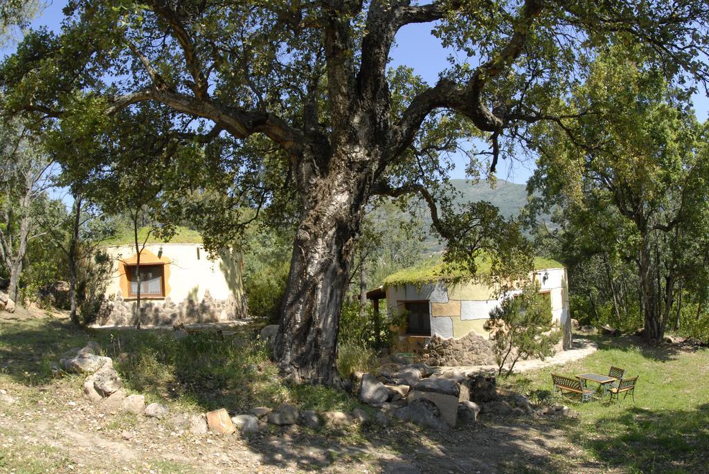Apartamentos Rurales Ecopangea Valverde de la Vera 외부 사진