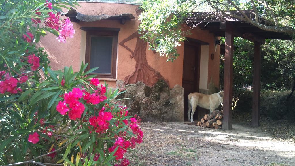 Apartamentos Rurales Ecopangea Valverde de la Vera 외부 사진