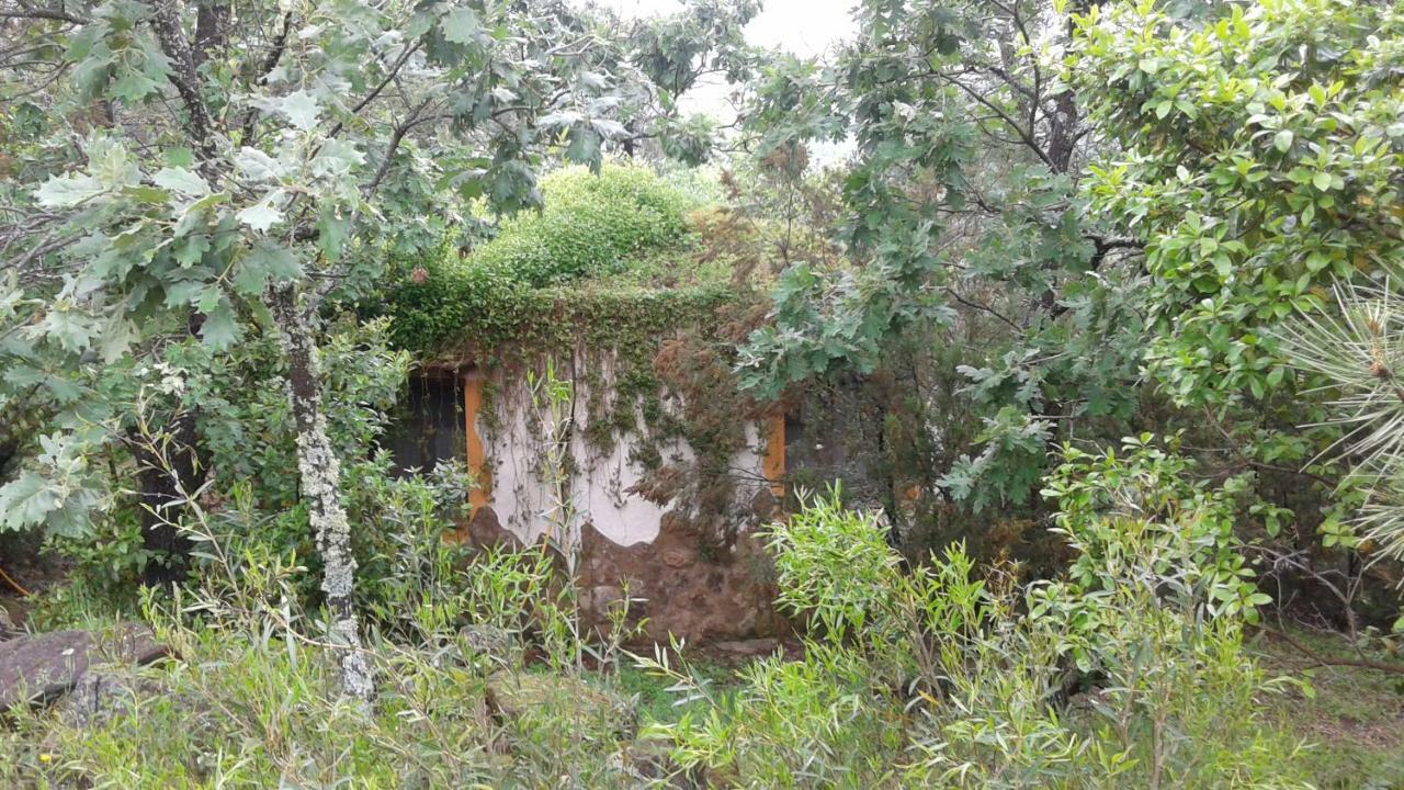 Apartamentos Rurales Ecopangea Valverde de la Vera 외부 사진