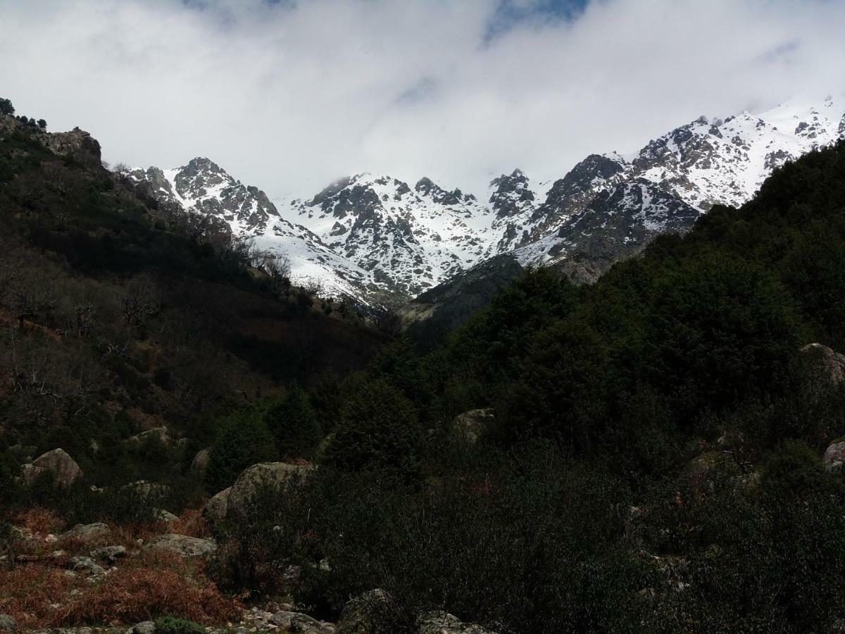 Apartamentos Rurales Ecopangea Valverde de la Vera 외부 사진