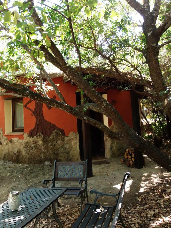 Apartamentos Rurales Ecopangea Valverde de la Vera 외부 사진