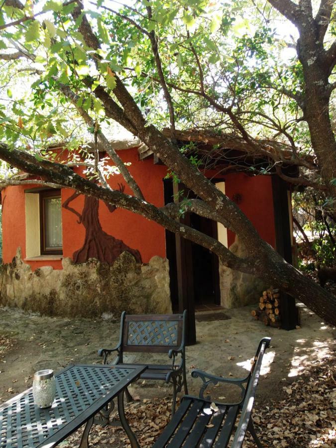 Apartamentos Rurales Ecopangea Valverde de la Vera 외부 사진