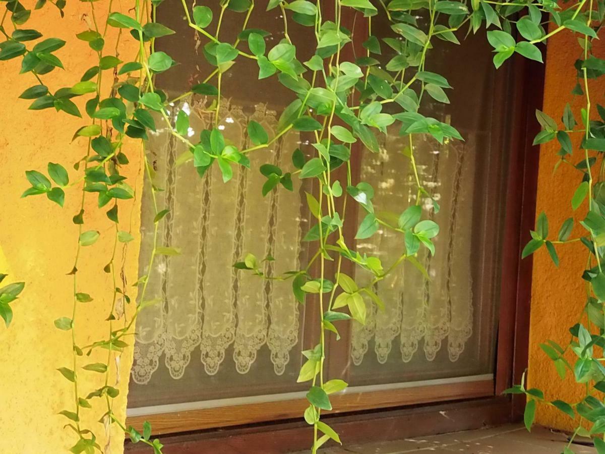 Apartamentos Rurales Ecopangea Valverde de la Vera 외부 사진
